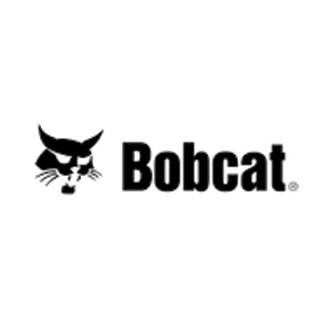 Bobcat
